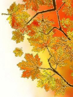 file_59440045