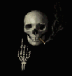 Skull2
