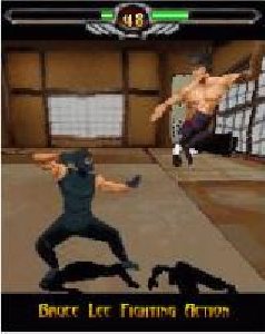 x208-bruce lee iron fist 3d