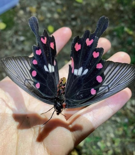 c4156b8bc638dd4212cb3881c0acb