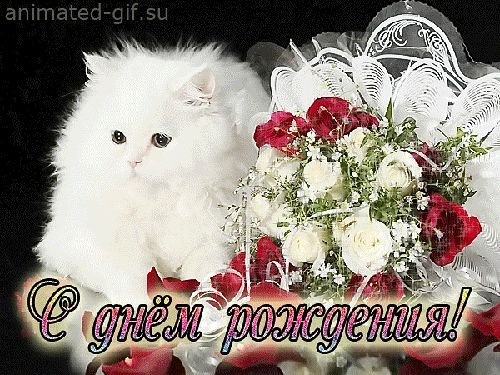 file_54952954