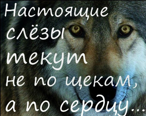 Настоящие слёзы
