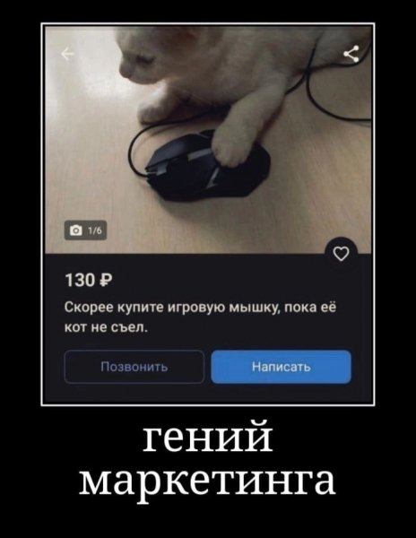 IMG 20240220 170313 772