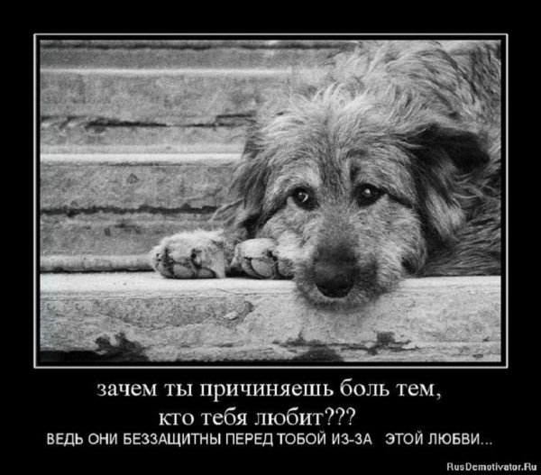 И это правда!