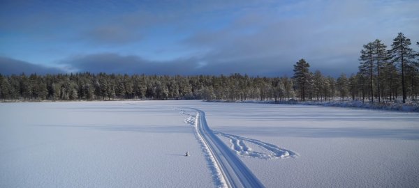 Screenshot 2026-04-20-00-16-36-53 com.google.android.youtube