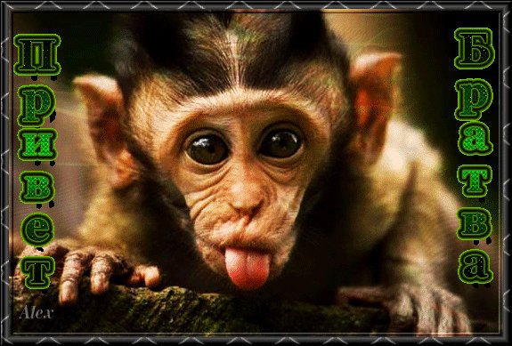 Анимированная открытка привет братва