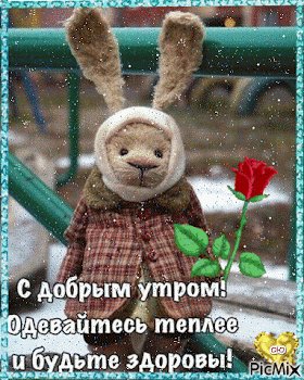 file_92084455
