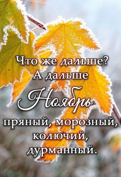 file_94936610