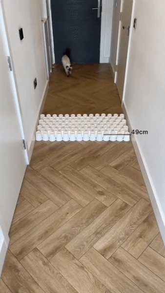 А чё, так можно было))))