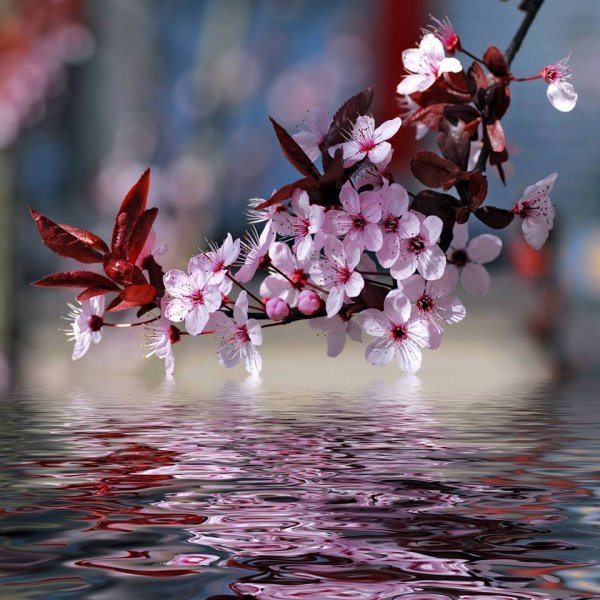 file_92573415