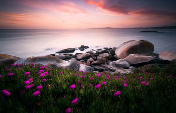 Ispaniia-more-tsvety-rozovye-bereg-nebo-kamni-oblaka-iarkie