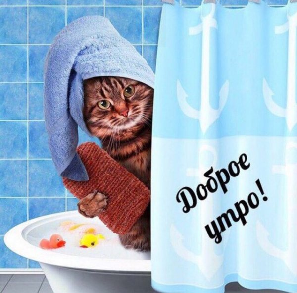 Dobroe utro