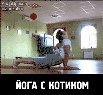 d98b6520db1fd1fac8f245230c1e1494ef560caa