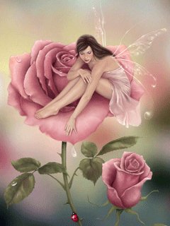 file_11131650