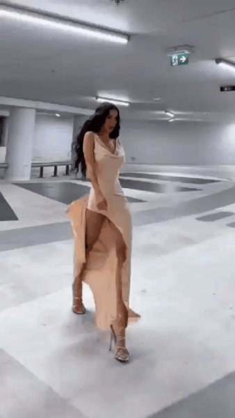 Lady