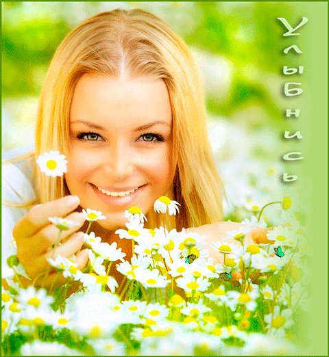 new-card-806979