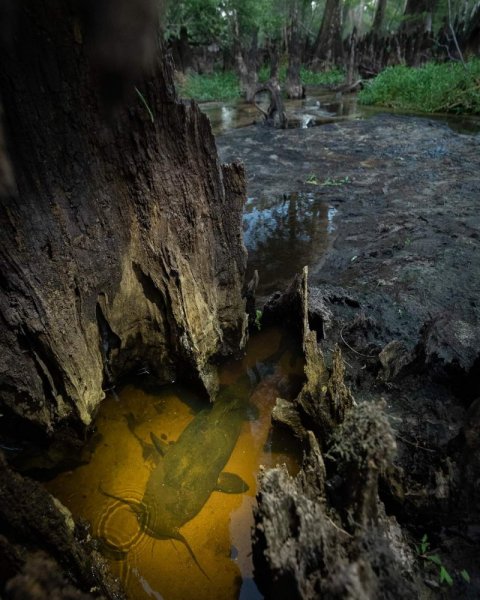 Be4fe1417f24bfd648de2f60b