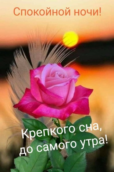 Спокойной ночи