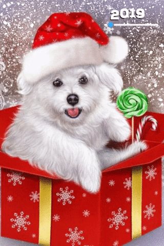file_75616704