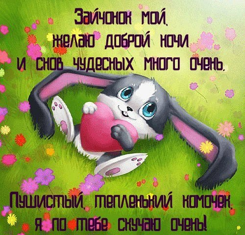 споки ноки