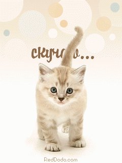 Аним. Скучаю.5с.