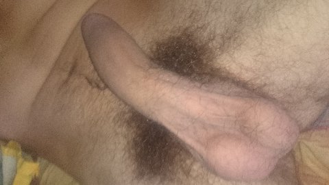 DSC 0018