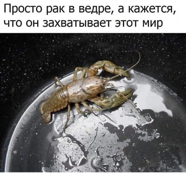 FB IMG 1776781707358