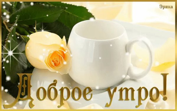 IMG 20160503 092814 8