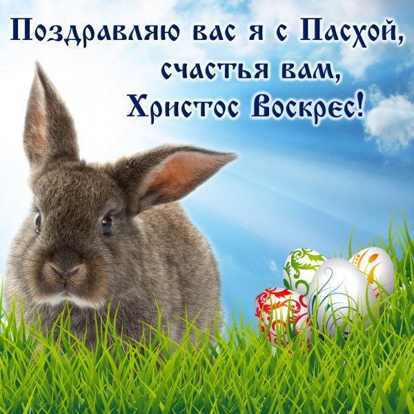 file_84186438