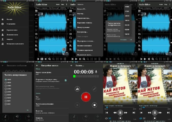 Doninn Audio Editor v1.17-pro(24)arm7,64v8.mod