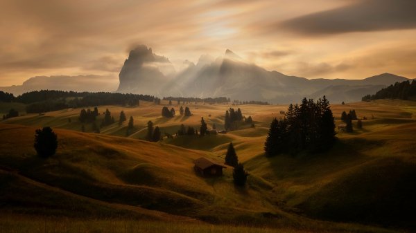 file_97054217
