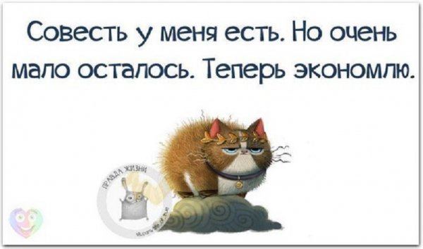 Совесть у меня есть, но очень мало осталось...