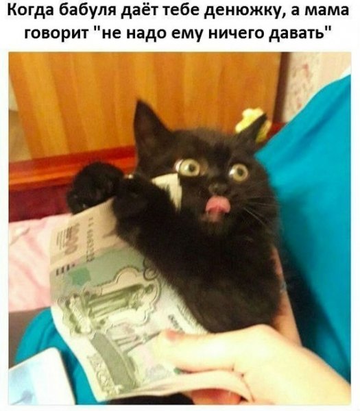 Жиза)))