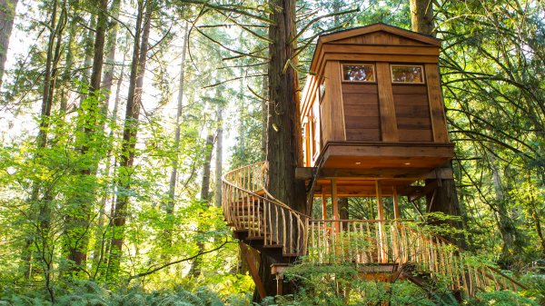 Treehouses Premium 3