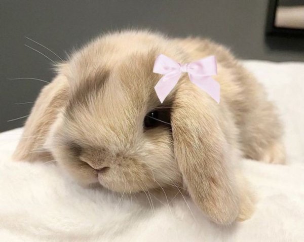 f9e37beea57e80683085