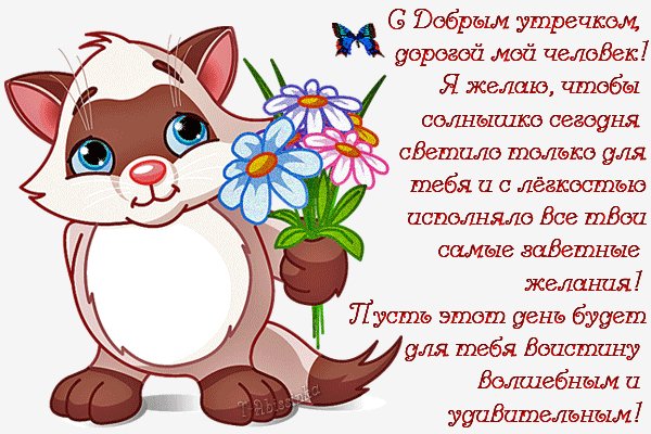 file_48050444