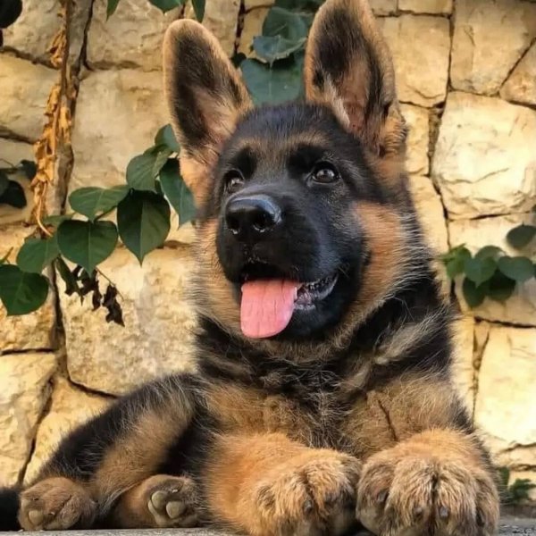 FB IMG 1766733188896