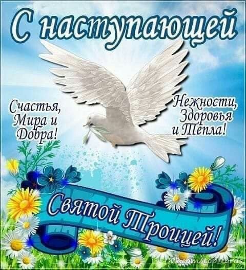 file_93729588