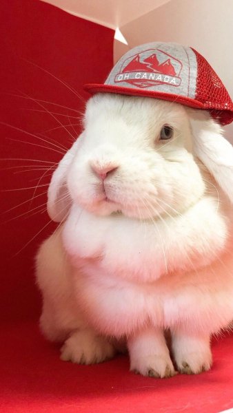 IMG 20240530 190805 788