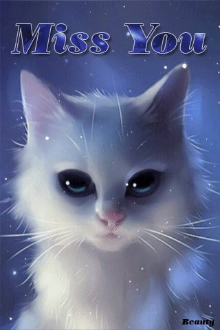 file_73828509