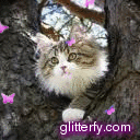 glitterfy5220822567B81