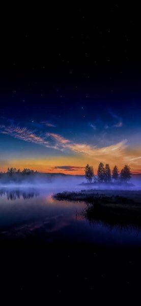 file_96288155