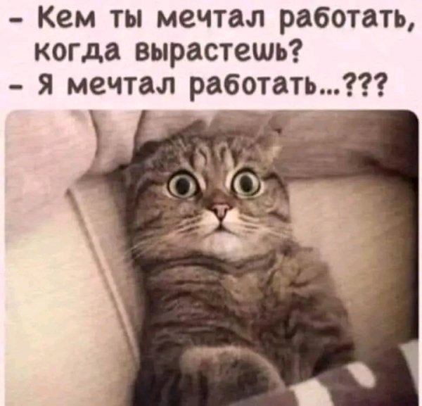 file_102884924