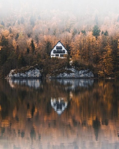 file_94733504