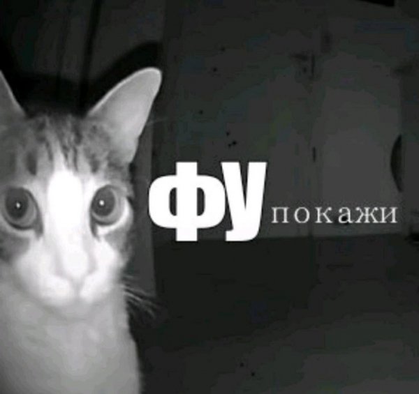 Конфукоша