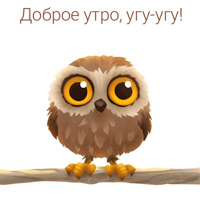 file_88509784