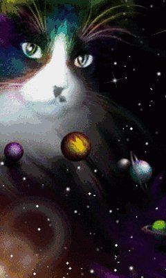 cat i kosmos 6vtxvqun