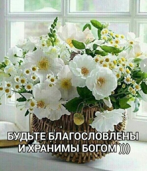 v7S2NNgXz0I