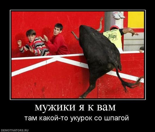file_78413708