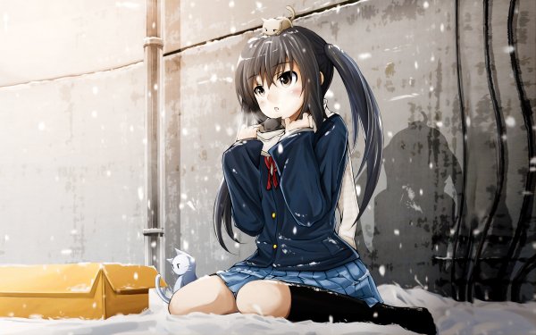 file_86339596